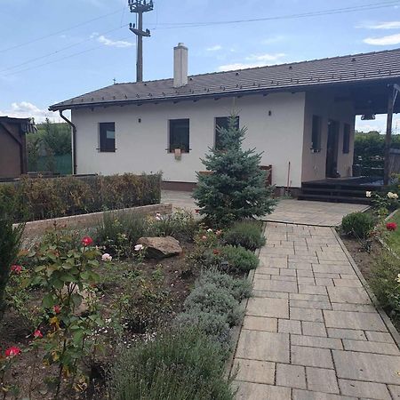 Aqua Garden Villa Миеркуря Чук Екстериор снимка